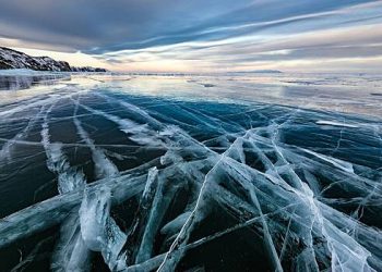 بلاگر لاطینی امریکہ کے رہائشیوں کے لئے جنگلی روسی کی عادت قرار دیتا ہے