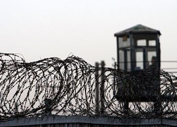 روس کے سب سے مشہور مجرموں میں سے ایک نے درخواست کی ہے