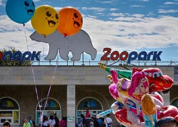 ہندوستان کالاؤ سینٹ پیٹرزبرگ کے لیننگراڈ چڑیا گھر سے اڑ گیا