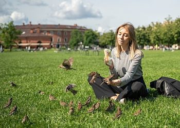 وروبیوف کی مردم شماری ، دو سال قبل شروع ہونے والی ، روس میں ختم ہوئی