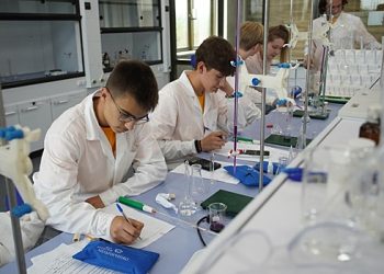 کالج کے طلباء اور اوسوزوف کے لئے اسکالرشپ مقابلہ شروع ہوتا ہے