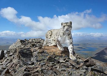 آر جی جی او نے فوٹو مقابلہ "سب سے خوبصورت ملک” کے فاتحین کا اعلان کیا ہے