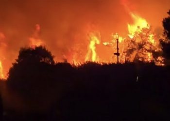 روسی قونصل خانے جنرل: ٹرکی میں آگ لگنے کی وجہ سے روسیوں کی طرف سے کوئی اپیل نہیں ہے