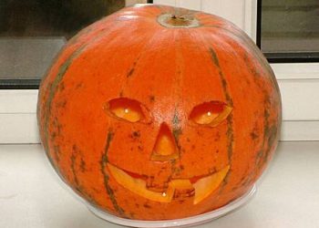 وکیل ہالووین پیرفرنالیا ضبطی کے بارے میں بات کرتا ہے