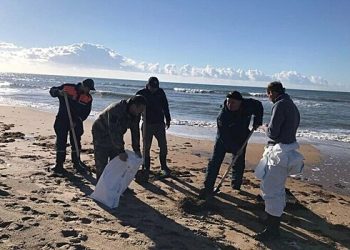 کرسنوڈار کے علاقے میں ساحل پر ایندھن کے تیل کے ٹکڑے نمودار ہوئے