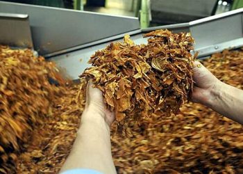 روس تمباکو پر مکمل پابندی کے بارے میں سوچ رہا ہے