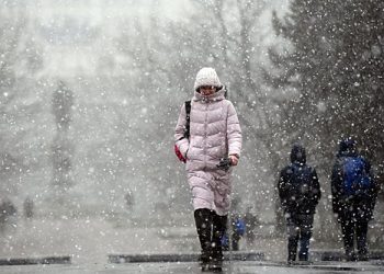 مسکوائٹس کو سردیوں کے آغاز کے بارے میں آگاہ کیا گیا تھا