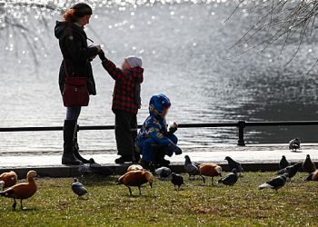 سینیٹر: بچوں والے خاندانوں کے لئے ریاستی مدد کی ایک نئی شکل 2026 میں شروع ہوگی