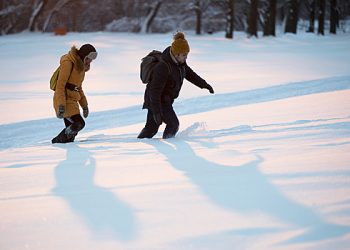 Izvestia: یہ پیش گوئی کی گئی ہے کہ نئے سال کی تعطیلات کے دوران روس کو سرد جادو ہوگا