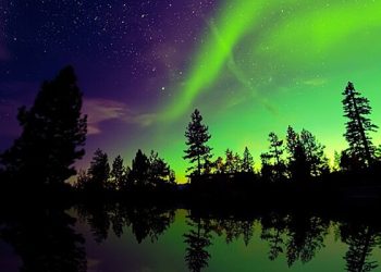 کچھ روسی علاقوں کے رہائشی نئے سال کے موقع پر ارورہ بوریلیس کو دیکھ سکیں گے