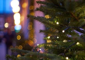 نئے سال کی تعطیلات "سب سے خطرناک” ہیں