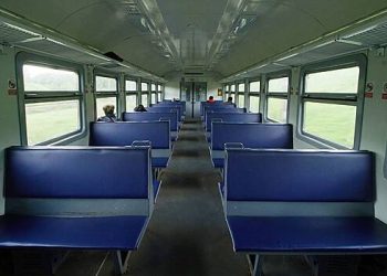 گمنام لوگوں نے اپنے پالتو جانوروں کے چوہوں کو مضافاتی ٹرین میں چھوڑ دیا